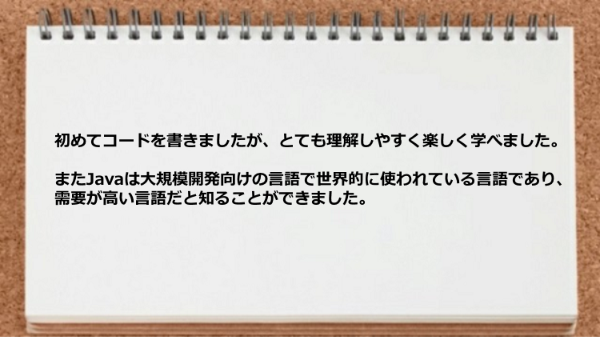 初めてコードを書きましたが、とても理解しやすく楽しく学べました。

