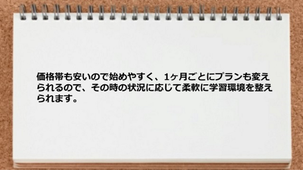 価格帯も安いので始めやすく1ヶ月ごとにプランも変えられるので柔軟に学習環境を整えられます。
