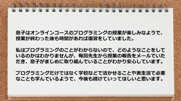 毎回先生から授業の報告をメールでいただき息子がまじめに取り組んでいることがわかり安心です。

