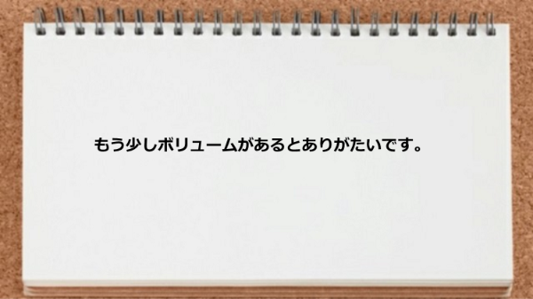 もう少しボリュームがあるとありがたい